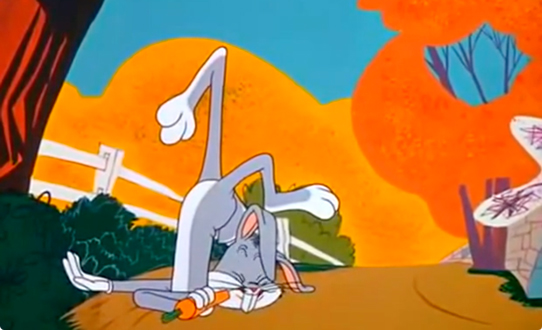 What's up doc