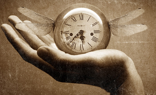 Tempo tempo x10